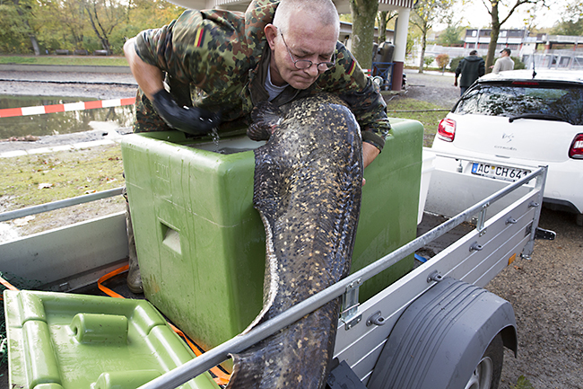 Ulrich Simons - Hangeweiher Abfischen